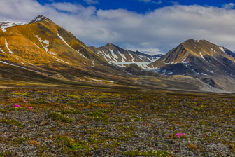 Svalbard - Spitzbergen